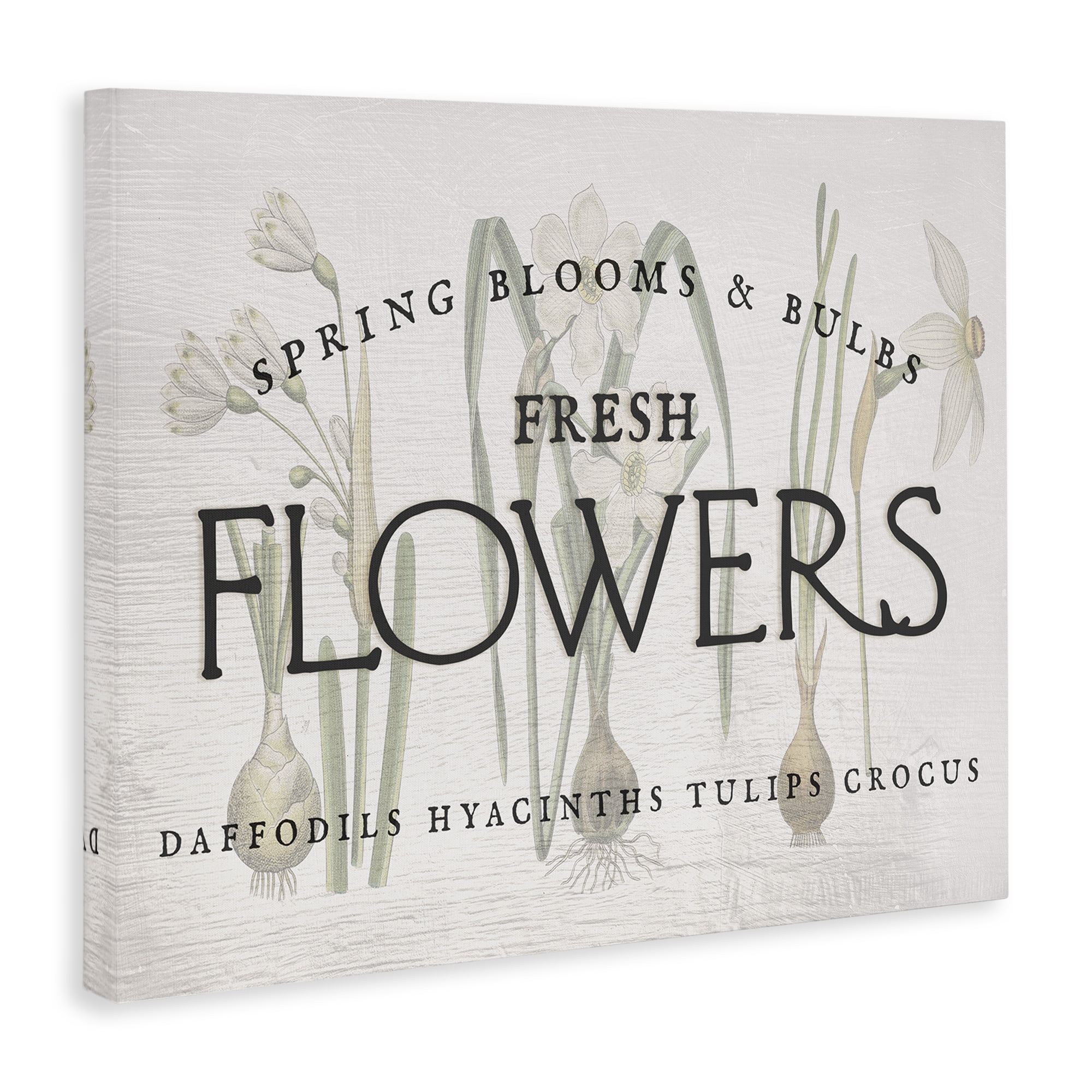Stupell Industries Fresh Flowers Market Typography Painting Gallery Wrapped Canvas Art Print Wall Art, 20 x 16