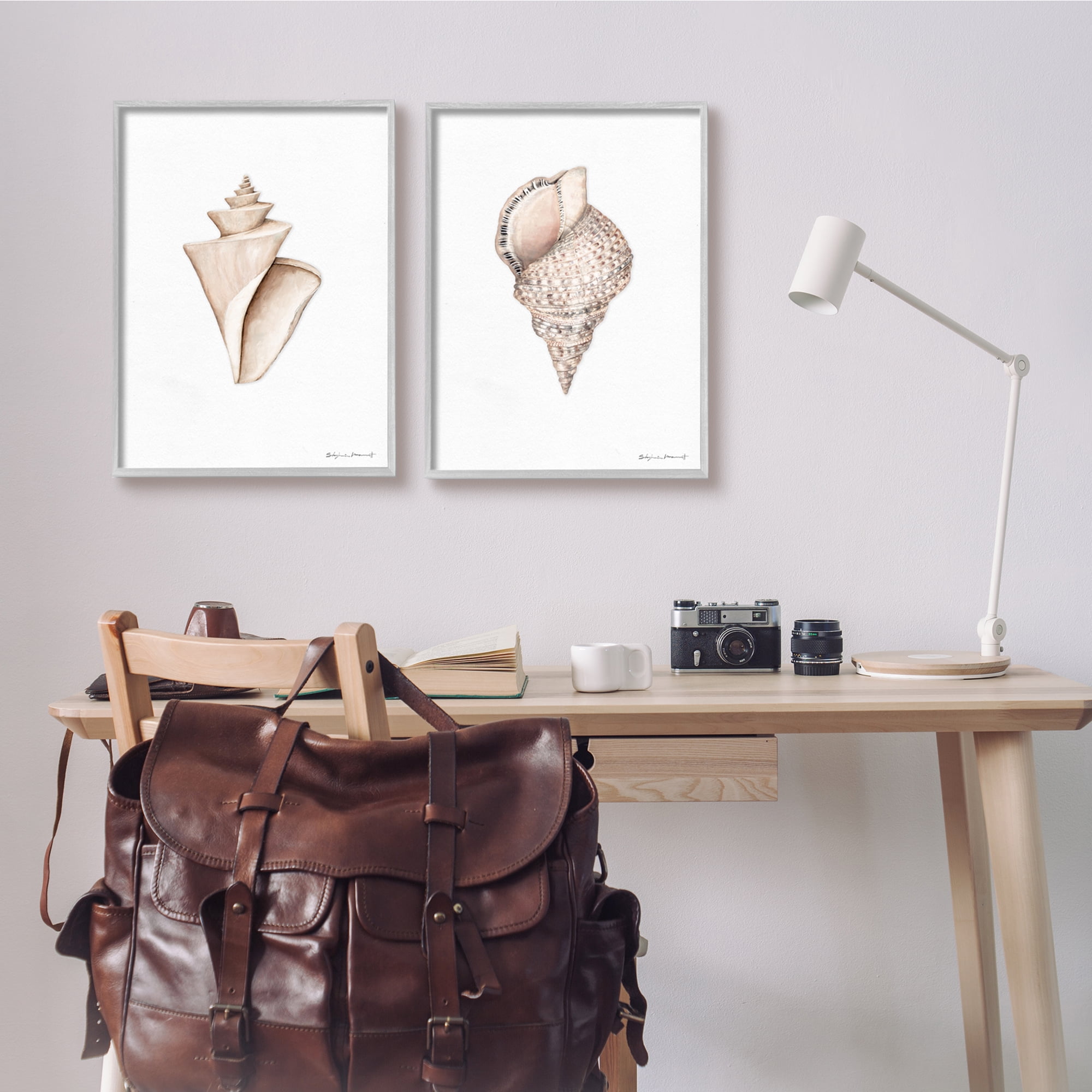 Stupell Industries Tranquil Spiral Sea Shells Soft Marine Life Illustration, 16 x 20, Design by Stephanie Workman Marrott