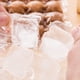 thumbnail image 4 of Naiovety 100 bolsas desechables para cubitos de hielo, congelador, bandeja de plástico para hacer cubitos de fiesta para barbacoa Cocina y Comedor transparente 30*19cm, 4 of 5