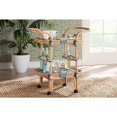 thumbnail image 5 of bali & pari Chasca Wood & Natural Rattan Wine Cart in Blue and White, 5 of 11