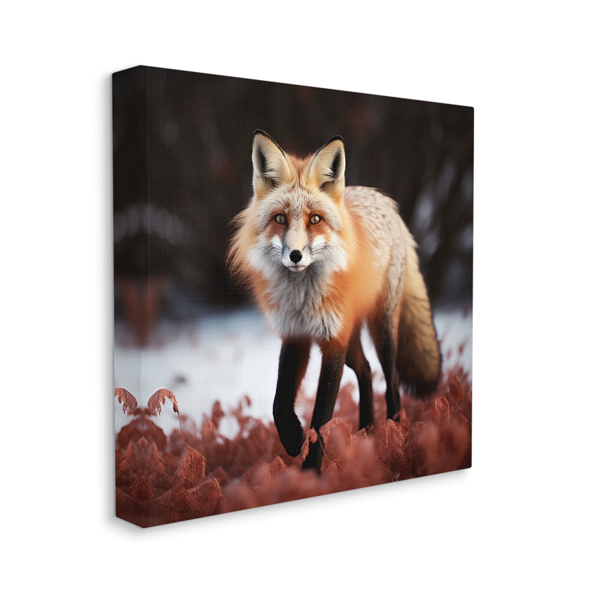 Stupell Industries Fox Cub in Nature Animals & Insects Photography Gallery Wrapped Canvas Art Print Wall Art, 30 x 30