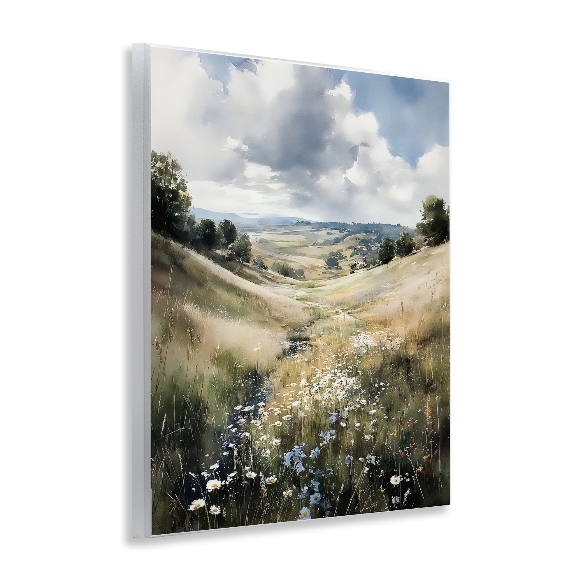 Stupell Industries Floral Valley of Wild Daisies Wall Plaque Art, design by Franklyn Gregory