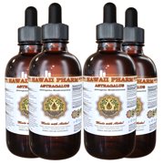 Astragalus (Astragalus membranaceus) Tincture, Organic Dried Root Liquid Extract, Huang Qi, Herbal Supplement 4x4 oz