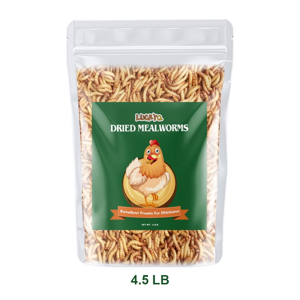 LUCKYQ Dried Mealworms 4.5LB,HighProtein Bulk Mealworms for Birds