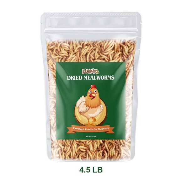 Dried Mealworms
