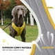 thumbnail image 5 of Arnés de Seguridad UNA MASCOTA Amarillo con Correa para Perro Chico, Mediano y Grande, 5 of 9