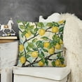 thumbnail image 2 of YINGXI  Summer Decoration, Garden Flag and Throw Pillow Covers 22x22in, 2 of 5