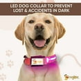 thumbnail image 7 of DOGGYLOVE LED Dog Collar – Lighted Collars for All Pets – USB Rechargeable Dog Collar for Pet Night Walking – Adjustable Light Up Dog Collar with Super Bright Safety - For Male/Female Dog (XL, Pink), 7 of 7