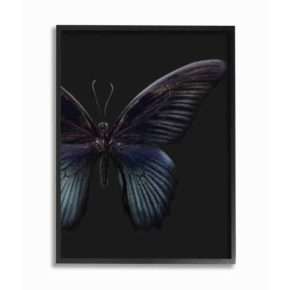 Stupell Home Décor Industries Butterfly Abstract Wings Animal Photograph Framed Wall Art by Design Fabrikken
