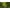 RainforestJungleWithWalkway, variant on Aquarium Terrarium Backgrounds Main (Rainforest With Walkway, 36”L X 16”H)