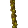 thumbnail image 4 of Vickerman 36-40" Light Basil Caba Spine Bundle. Includes 24oz (3 -8oz Bundles), Dried, 4 of 5