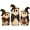 White, variant on DLMCUH 3-Pack Halloween Vintage Wooden Ghost Decor Set,Double Sided 2D Printed Ghost Ornaments,Halloween Tabletop Decor for Mantel,Shelf,Table Centerpieces & Coffee Bars