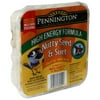 Pennington Nutty Seed & Suet Wild Bird Food, 11.25 oz.