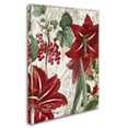 thumbnail image 2 of Trademark Fine Art "Amaryllis" Canvas Art by Color Bakery, 2 of 3