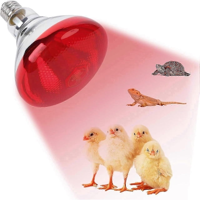 220V 100 - 275 Watts E27 Infrared Red Heat Lamp for Chickens, Brooder Coop, Chicks, Pet Reptiles