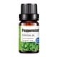 thumbnail image 1 of Buy 2 get 10% off Essential oils Essential Coconut oil Natural Aromatherapy Oil 10ml Aroma Unilateral, 1 of 2
