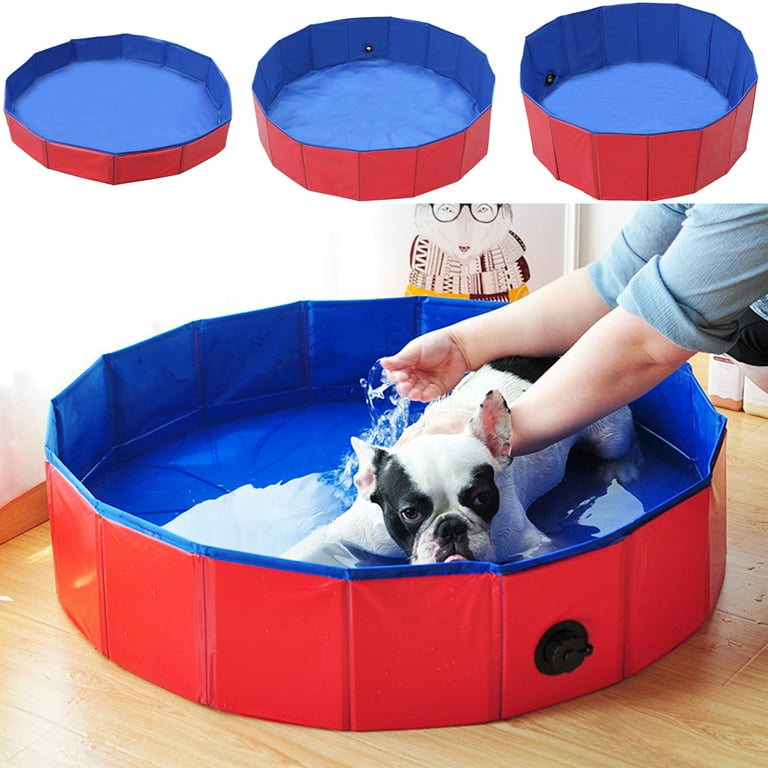 Dog bath best sale pool