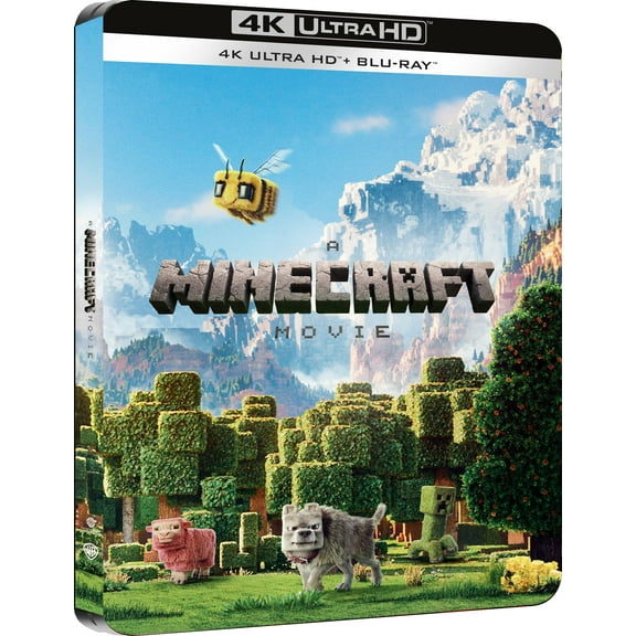 UN FILM MINECRAFT - STEELBOOK 2 (Blu-ray) Jason Momoa Jared Hess