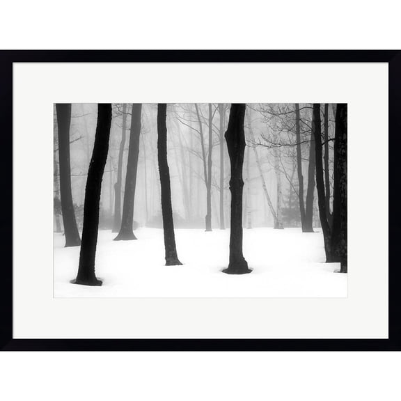 Great Art Now Winter Fog by Kelly Sinclair, Framed Wall Art, 24W x 18H