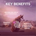 thumbnail image 5 of Forza10 Wet Dog Food Digestive Support 12 pack, 5 of 13