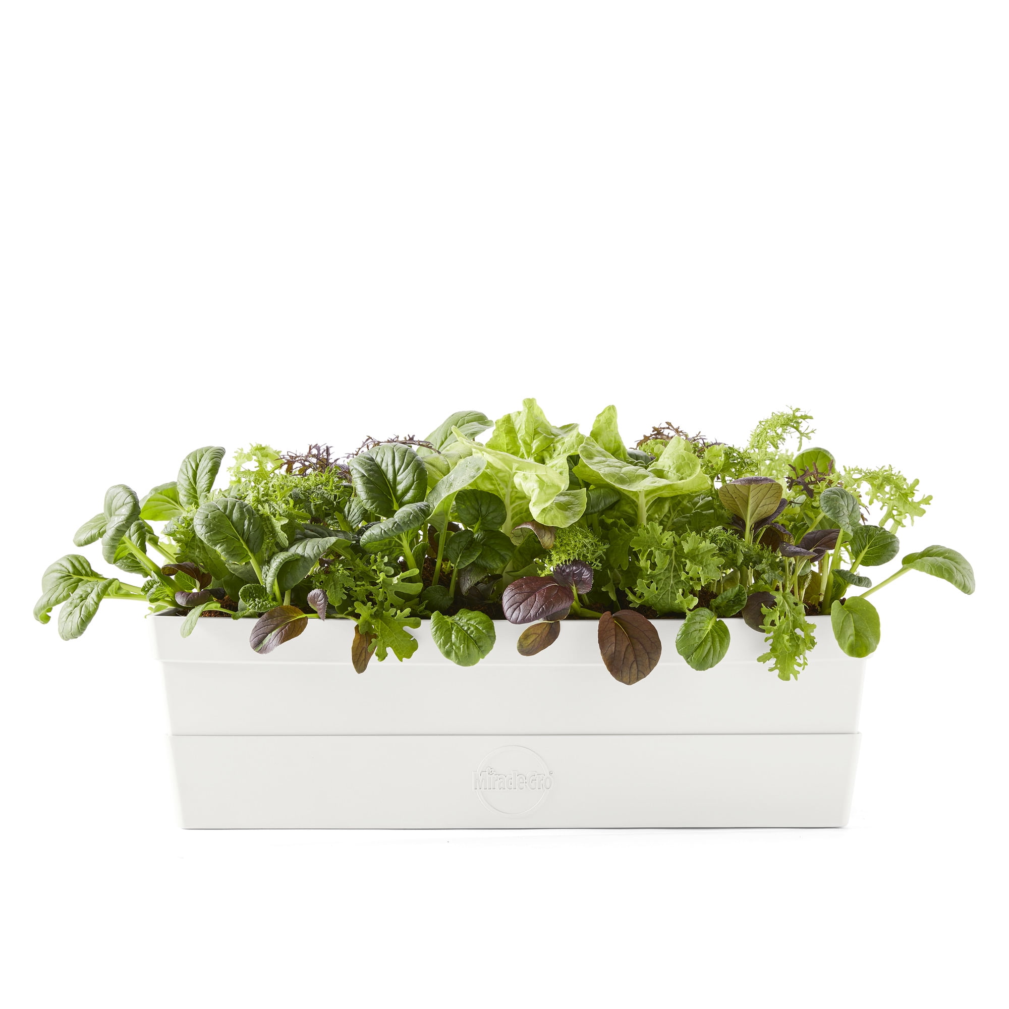 Miracle-Gro Garden to Go Mesclun Greens Mix - All-In-One Garden Kit