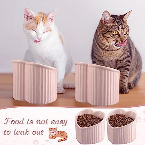 2 Pcs Ceramic Elevated Cat Bowls Tilted Elevated Raised Pet Bowls Anti Vomit Cat Dish for Indoor Stress Free Water Dish Feeder for Puppies, Heart Shaped(Pink)