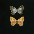 thumbnail image 2 of Charlotte, Joanna 26x26 White Modern Wood Framed Museum Art Print Titled - Pair of Butterflies on Black, 2 of 4