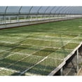 thumbnail image 2 of RSI Hydroponic Seed Trays -242 plugs ( 2 pack), 2 of 3
