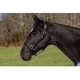 thumbnail image 1 of JPC Equestrian Henri de Rivel Pro Fancy acolchado cuello enrollado triple cosido cabestro, 1 of 1