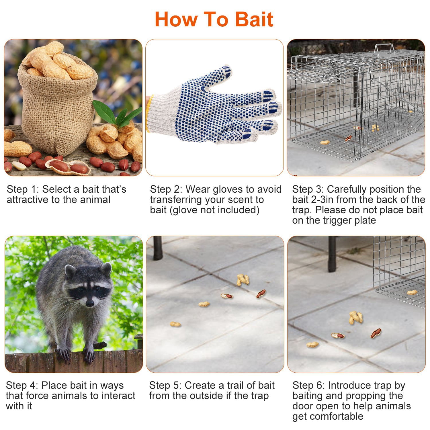 Humane Live Cat Cage 30inch Galvanized Wire Catch Release Collapsible Animal Rodent Cage for Raccoons Beavers Groundhogs Foxes Armadillos Under 16.5lbs