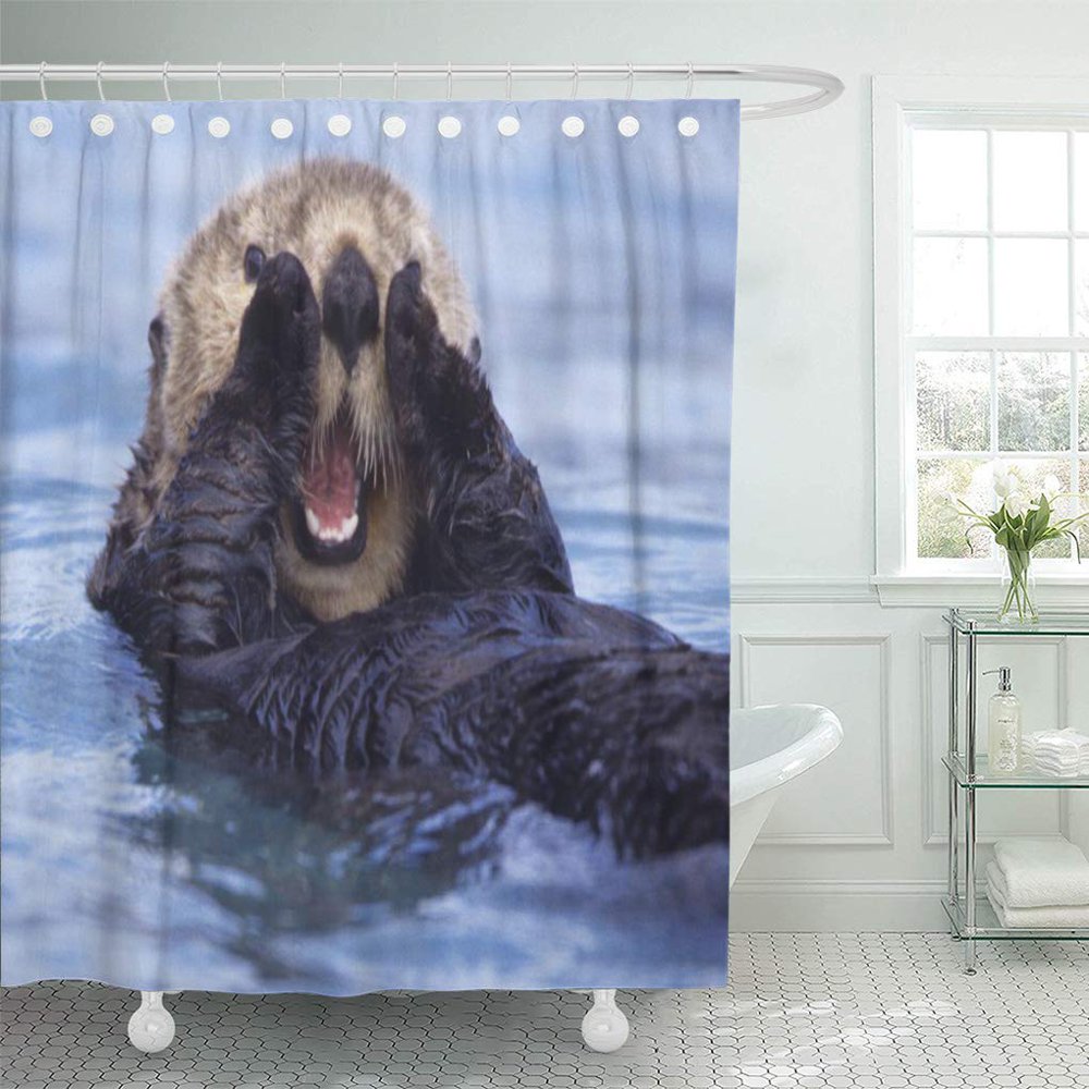 ATABIE Aquatic Cute Sea Otter Alaska Cling Surf Daisy Shower Curtain