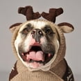 thumbnail image 2 of Chilly Dog Moosey Hoodie Dog Sweater - Tan / Brown, 2 of 3