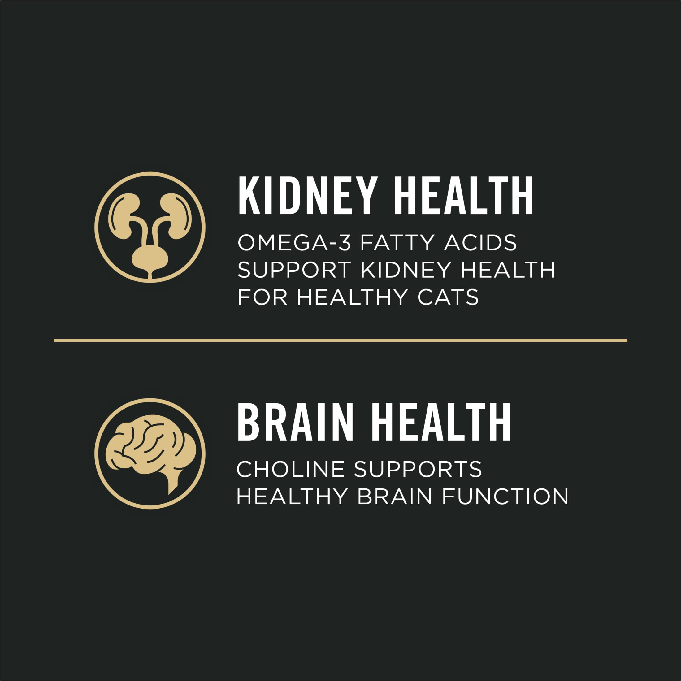 Purina Pro Plan Vital Systems Turkey Wet Cat Food Pate 4-in-1 brain, kidney, digestive and immune formula