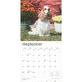 thumbnail image 4 of AMERICAN COCKER SPANIELS 2025 SQUARE WRA, 4 of 9
