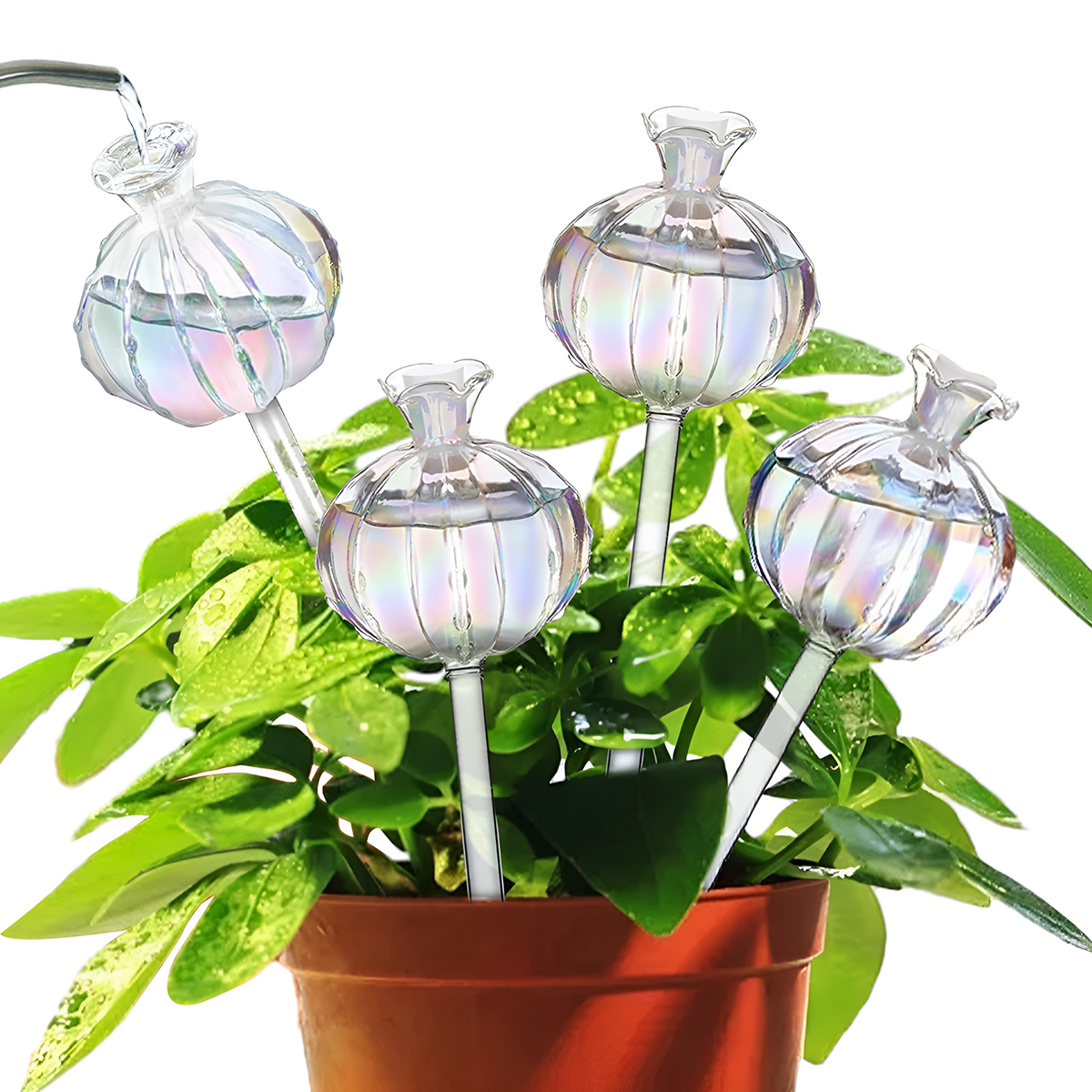 Globes d'Arrosage pour Plantes - Globes d'Arrosage Auto-Arrosants pour  Plantes d'Intrieur Cactus Ampoules d'Arrosage - Walmart.ca