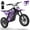 Purple, variant on PESCROA Electric Dirt Bike with 15.5MPH Max Speed, E Dirt Bike with 165LBS Max Weight, Electric Bike, Electric Dirt Bike with 23.6 Miles Max Range, Electric Dirt Bike with 500W Motor