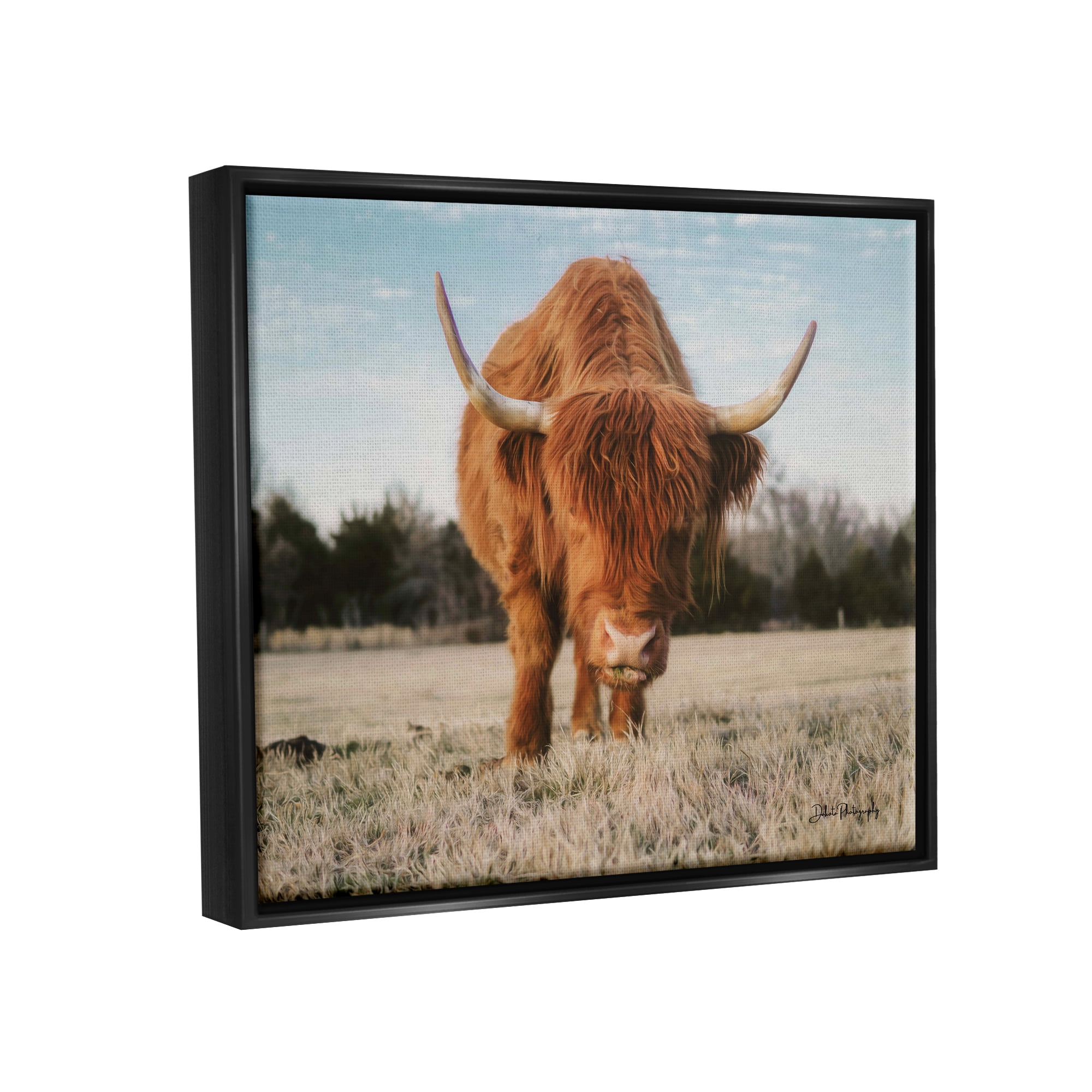 Stupell Farmhouse Highland Cattle Ranch Animals & Insects Photography Black Floater Framed Art Print Wall Art