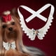 thumbnail image 3 of Collar ajustable con lazo para perro, hermoso collar con flores de perla., 3 of 8