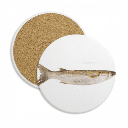 

Ocean Fish Fresh Activity Coaster Cup Mug Tabletop Protection Absorbent Stone