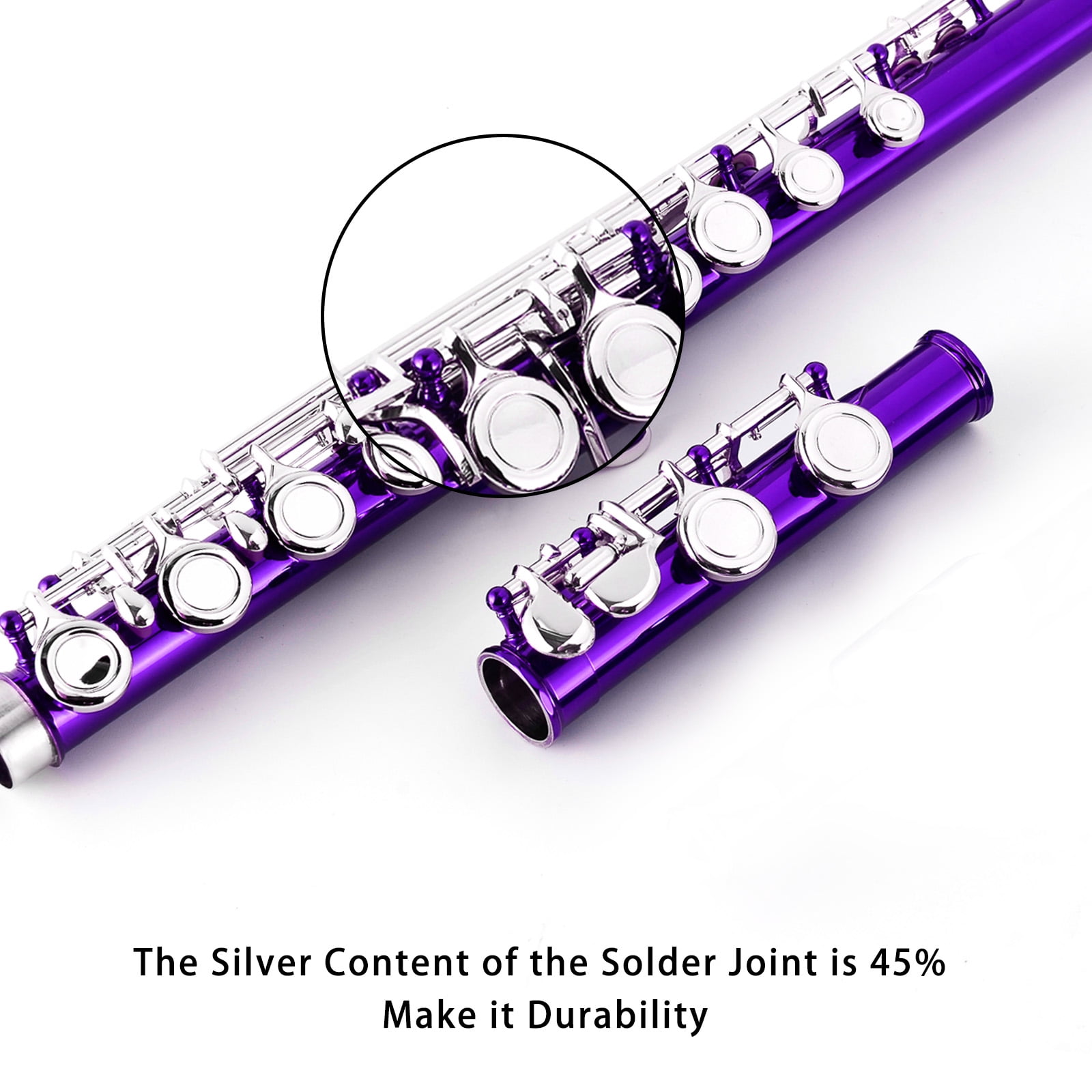 EASTROCK Closed Hole Nickel Plated Flute Soprano Recorder in C 16 with Professional Care Set for School Ensembles and Beginners Purple