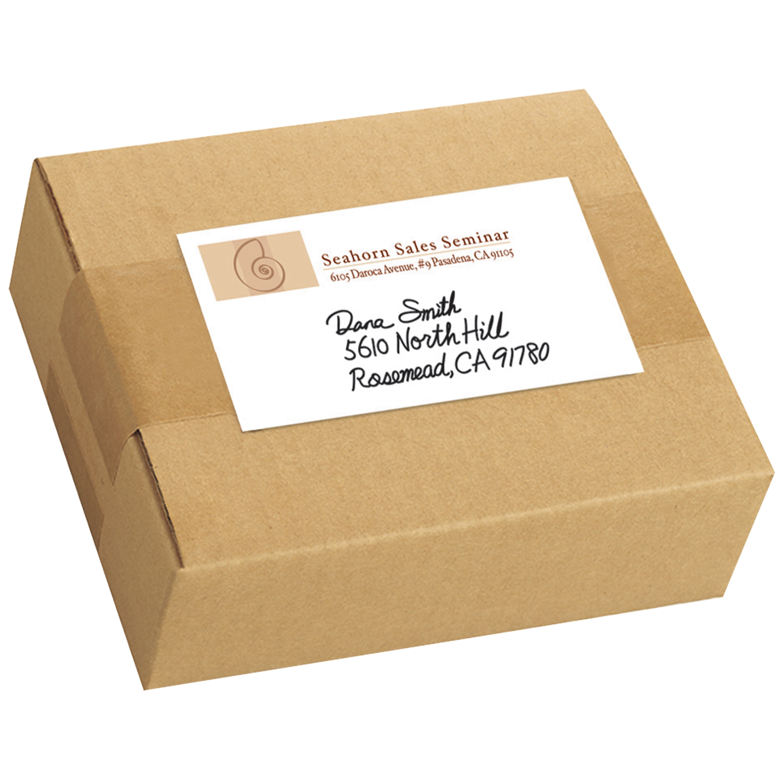Avery All-Purpose Removable Labels, 2" x 4", 300 Labels (22283)