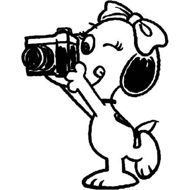 Snoopy Dog Belle Camera Peanuts Cartoon Character Decors Wall Sticker Art Design Decal For Girls Boys Kids Room Bedroom Nursery Kindergarten Home Decor Stickers Wall Art Vinyl Decoration 30x15 Inch Walmart Com