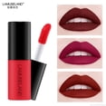 thumbnail image 3 of 09 Muestra de brillo de labios mate 12 colores Lápiz labial líquido resistente al agua Lápiz labial de larga duración Lápiz labial Cosméticos coreanos Maquillage Tslm1 esquí esquí Gafas de esquí, 3 of 5