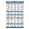 thumbnail image 1 of Fitness Out Posters-w Exercise Posters For Out-core,abs,legs,glutes Upper B, 1 of 5