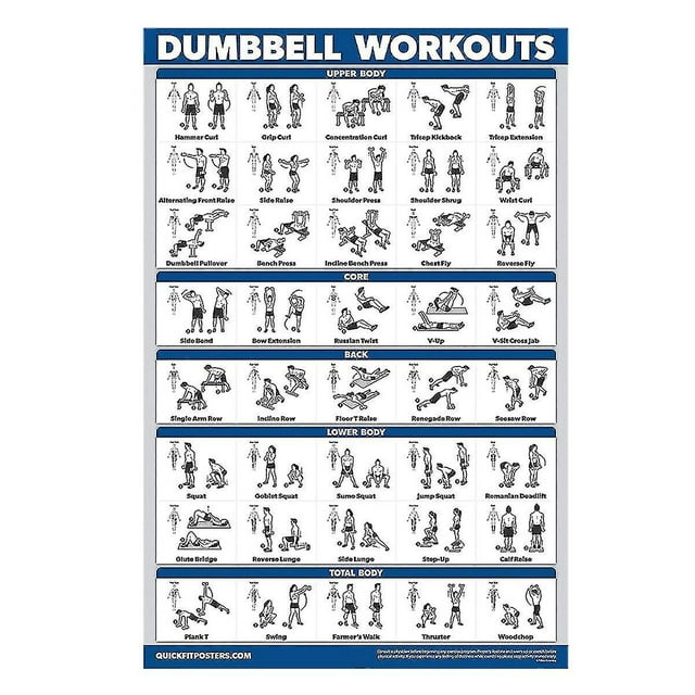 Fitness Out Posters-w Exercise Posters For Out-core,abs,legs,glutes Upper B