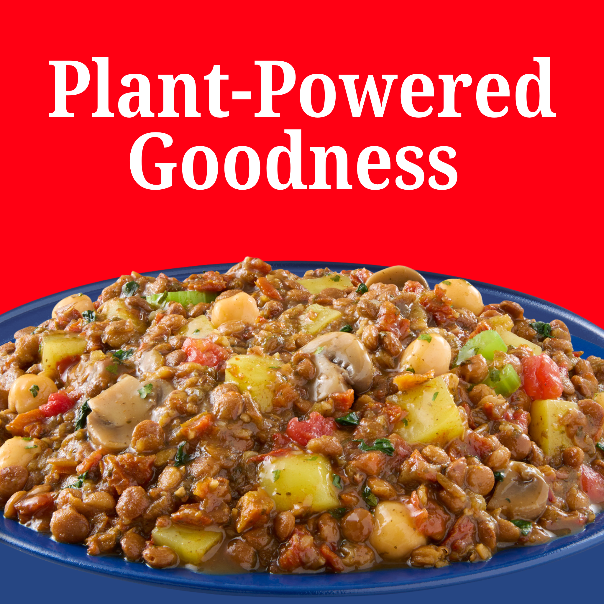 My Own Meal, Hearty Lentil Stew, Kosher and Halal Certified, Shelf Stable, 10 OZ Pack of 6