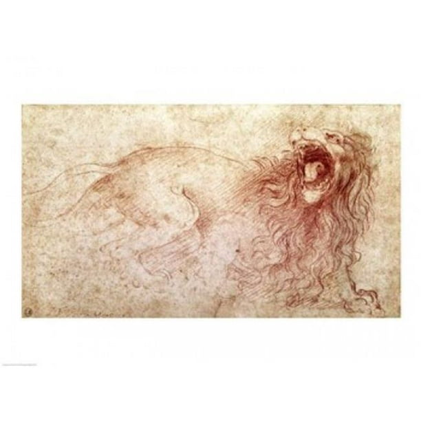 Posterazzi BALXIR161992 Esquisse d'Une Affiche de Lion Rugissant par Leonardo Da Vinci - 24 x 18 Po.