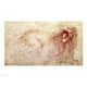 Posterazzi BALXIR161992 Esquisse d'Une Affiche de Lion Rugissant par Leonardo Da Vinci - 24 x 18 Po. – image 1 sur 1