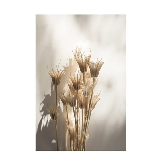 Trademark Fine Art Mareike Bohmer Last Summer 27 Canvas Wall Art