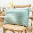 thumbnail image 5 of Baywell 2 Pack Soft Striped Velvet Throw Pillows, 30x50cm/12x20in Rectangular Decorative Square Pillow Covers for Modern Farmhouse Home Decor, 5 of 6